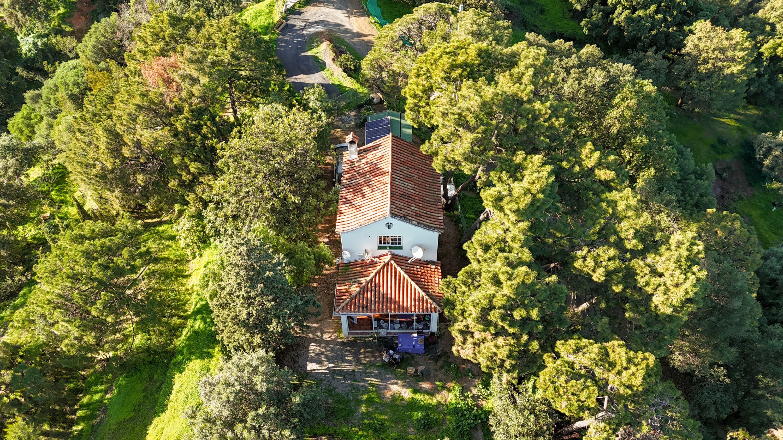Rico Rincón Estepona Mirador Padrón