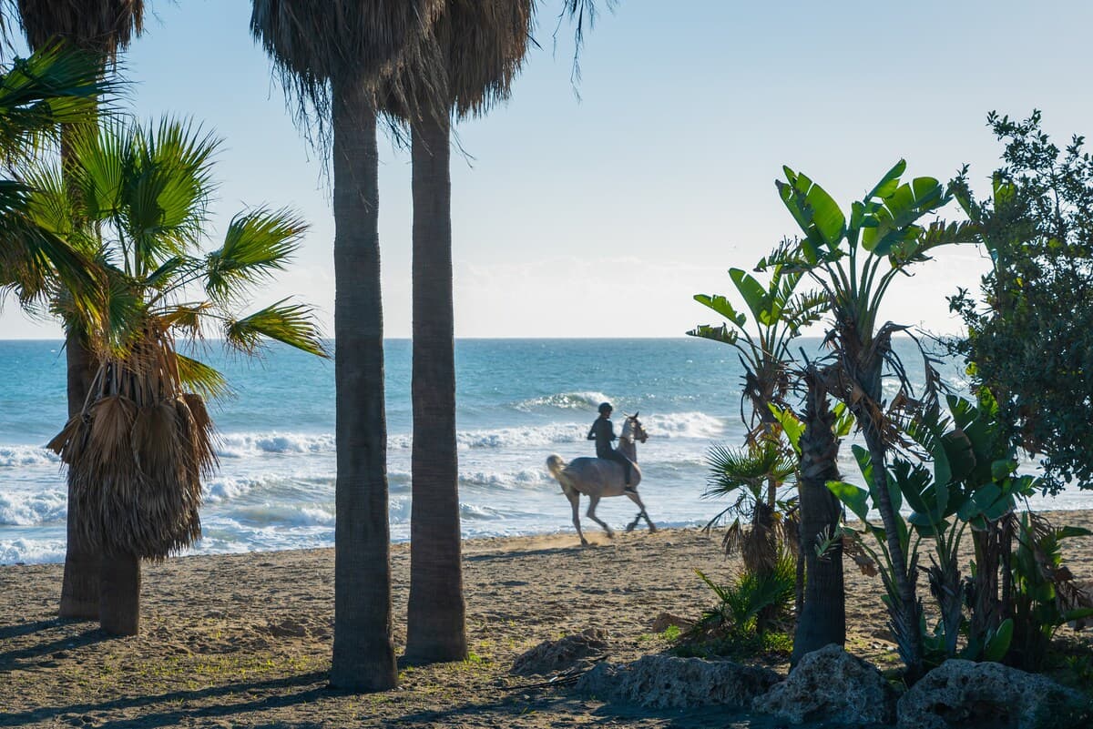 Estepona Oldtown (200 metros de la playa) 26